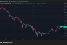 ارتفاع سعر ميم كور (M) بنسبة 70% مع استقرار سوق العملات الرقمية الأوسع