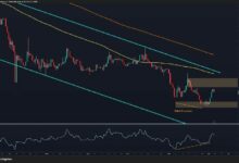 تحليل سعر Ripple: ما هي أهداف XRP التالية بعد ارتفاع أسبوعي بنسبة 8%؟