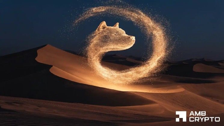 إشارات شراء دوجكوين النادرة لم تحفز بعد ارتفاعًا: إليك السبب