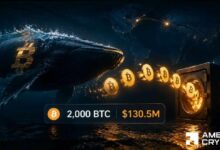 بيتكوين: هل تهدد حركة حوت بقيمة 130.5 مليون دولار مسيرة BTC نحو 70 ألف دولار؟