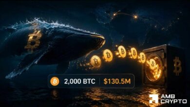 بيتكوين: هل تهدد حركة حوت بقيمة 130.5 مليون دولار مسيرة BTC نحو 70 ألف دولار؟