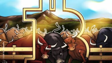 توقعات البيتكوين تتحسن مع تحقيق مكاسب أسبوعية بنسبة 6%: هل يستطيع الثيران دفع السعر لأعلى؟