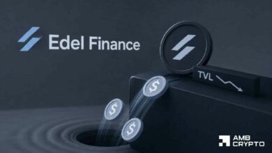إيديل فاينانس تخسر 403 آلاف دولار جراء اختراق أوراكل القروض السريعة لاحتياطيات إقراض xStock