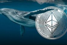 حوت الإيثيريوم يواصل الشراء: عمليات ضخمة لهذه العملة إلى جانب ETH! إليكم التفاصيل