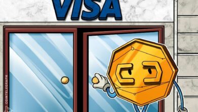 فيزا تستعرض استراتيجية العملات المستقرة خلال مكالمة أرباح الربع الثالث