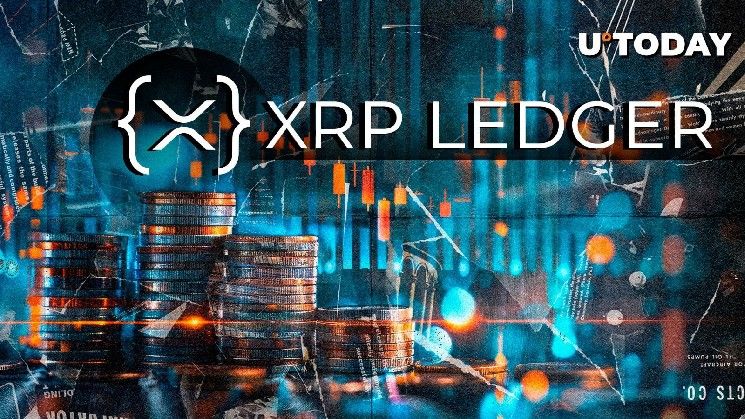 دَفتر XRP يحقق إنجازًا جديدًا في النمو