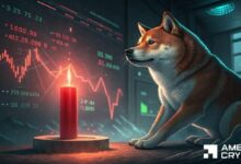 إليك السبب وراء تركيز منطقة عدم التوازن لدى Shiba Inu بعد انخفاض السعر بنسبة 11%