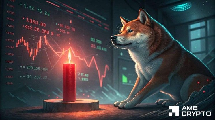 إليك السبب وراء تركيز منطقة عدم التوازن لدى Shiba Inu بعد انخفاض السعر بنسبة 11%