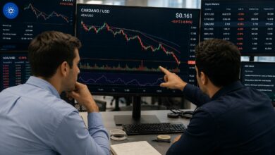 لماذا يراهن متداولو ADA ضد كاردانو بعد الهارد فورك التاريخي؟
