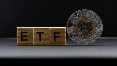 استثمار 1,000 دولار في أول صندوق استثماري فوري لـ XRP عند الإطلاق: قيمته الآن