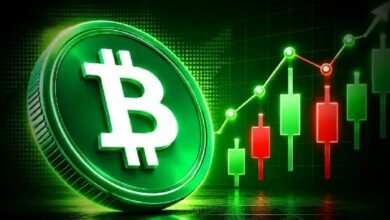 سعر البيتكوين يدخل منطقة حققت سابقًا عوائد 7,500%