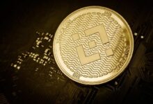 عنوان مترجم:
سلسلة BNB تتصدر شبكات البلوكتشين في عدد عناوين العملات المستقرة النشطة، لكن هناك تحذير