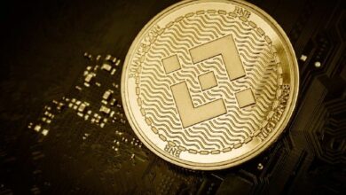 عنوان مترجم:
سلسلة BNB تتصدر شبكات البلوكتشين في عدد عناوين العملات المستقرة النشطة، لكن هناك تحذير