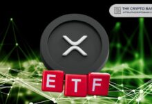 صناديق XRP المتداولة تتحدى ضعف السوق وتصل إلى رقم قياسي بـ1.5 مليار دولار من التدفقات التراكمية