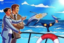 حيتان البيتكوين تدفع السعر إلى 64 ألف دولار مع اختراق مؤشر "كوين بيز بريميوم" لمستوى رئيسي: CryptoQuant