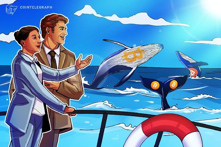 حيتان البيتكوين تدفع السعر إلى 64 ألف دولار مع اختراق مؤشر "كوين بيز بريميوم" لمستوى رئيسي: CryptoQuant