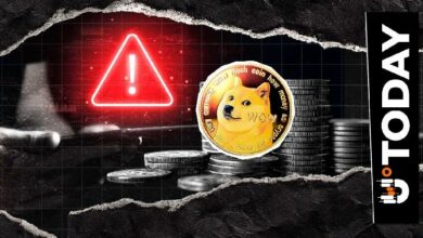 لا توجد ملكية رسمية لـ DOGE: المجتمع يرفض مزاعم السيطرة