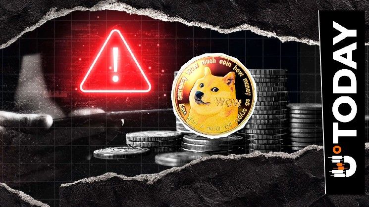 لا توجد ملكية رسمية لـ DOGE: المجتمع يرفض مزاعم السيطرة