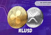 نائب الرئيس التنفيذي لريبل يشرح دور XRP وRLUSD في استراتيجية المؤسسات