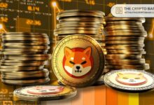 نمو حاملي Shiba Inu يثير الجدل مع تجاوز عدد الحاملين 1.67 مليون