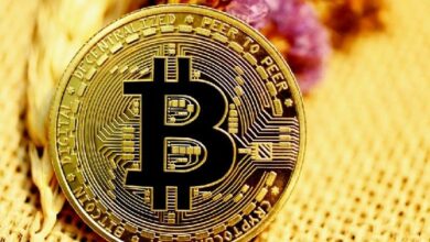 خبراء: 80% من سوق الدببة للبيتكوين انتهت—إليك ما تحتاج معرفته