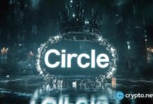 رئيس Circle يدعم USDC بينما يضغط منافس جديد على سهم CRCL
