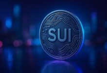 مؤسس Sui المشارك يستهدف التبني الجماعي عبر zkLogin، المعاملات بدون رسوم، والمدفوعات المستقرة الخاصة