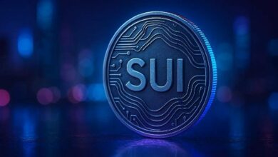 مؤسس Sui المشارك يستهدف التبني الجماعي عبر zkLogin، المعاملات بدون رسوم، والمدفوعات المستقرة الخاصة