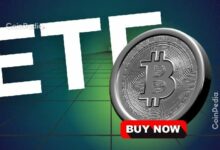 توقعات سعر البيتكوين: تدفق 281 مليون دولار يعود إلى صناديق الاستثمار المتداولة في العملات الرقمية هذا الأسبوع