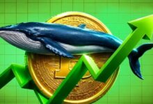 مؤشرات البيتكوين تحدد أفضل نقطة دخول للمستثمرين على المدى الطويل