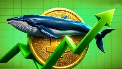 مؤشرات البيتكوين تحدد أفضل نقطة دخول للمستثمرين على المدى الطويل