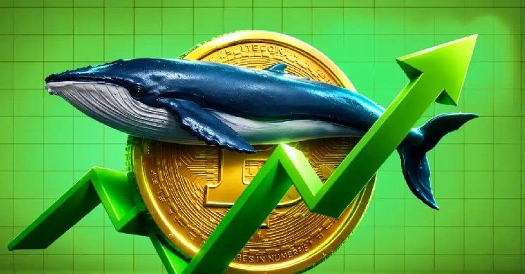 مؤشرات البيتكوين تحدد أفضل نقطة دخول للمستثمرين على المدى الطويل