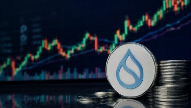 توقعات سعر SUI: إشارات تراكم صاعدة تتعزز