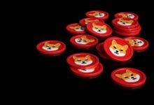 فريق Shiba Inu (SHIB) يؤكد استمرار التجربة رغم ارتفاع السعر