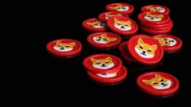 فريق Shiba Inu (SHIB) يؤكد استمرار التجربة رغم ارتفاع السعر