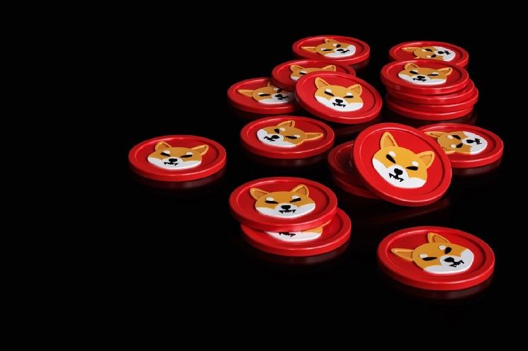 فريق Shiba Inu (SHIB) يؤكد استمرار التجربة رغم ارتفاع السعر