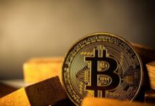 سوي تطلق شبكة هاشي التجريبية لتطبيقات البيتكوين