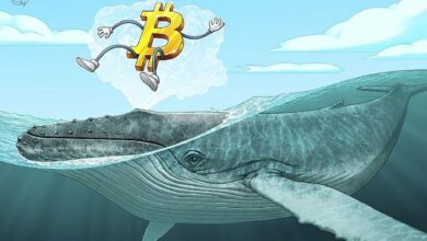 تخفيف ضغوط بيع بيتكوين من الحائزين القدامى مع انخفاض حركة العملات الخاملة لأدنى مستوياتها في 4 سنوات: ثورن