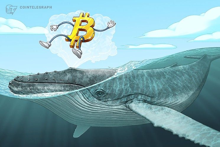 تخفيف ضغوط بيع بيتكوين من الحائزين القدامى مع انخفاض حركة العملات الخاملة لأدنى مستوياتها في 4 سنوات: ثورن