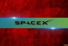 لماذا انهار سهم سبيس إكس (SPCX) بنحو 50% منذ قمته في يونيو