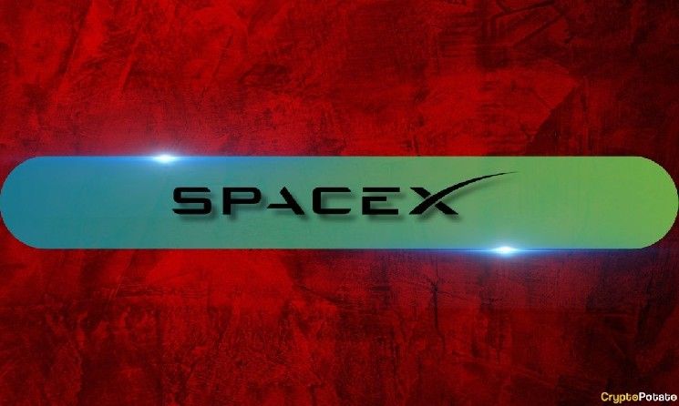 لماذا انهار سهم سبيس إكس (SPCX) بنحو 50% منذ قمته في يونيو