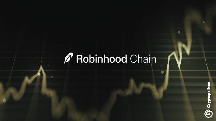 **روبن هود تشين تحتل المركز الثاني في المحافظ النشطة على بورصات الإيثيريوم اللامركزية**