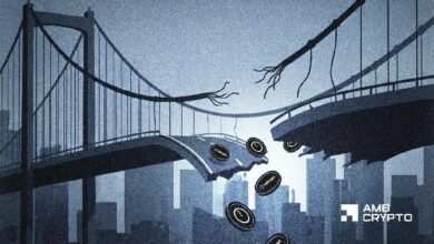 استغلال جسر Wanchain بين Cardano وBNB – كيف اختفت 9 ملايين دولار من NIGHT في ساعات