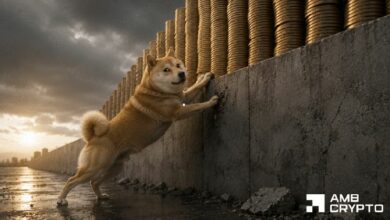 هل يمكن لدوجكوين اختراق 0.081 دولار؟ عرض ضخم يعترض طريق DOGE
