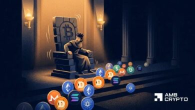 هل بدأ موسم العملات البديلة؟ لماذا تشير مؤشرات بيتكوين بـ21 مليار دولار إلى عكس ذلك