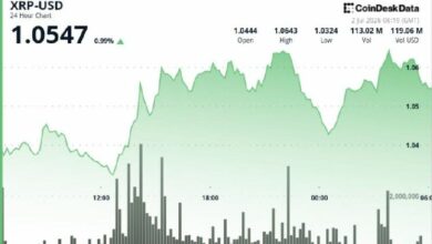 ارتفاع طفيف لـ XRP مع زيادة نشاط الحيتان وترقب حذر من المتداولين الأفراد