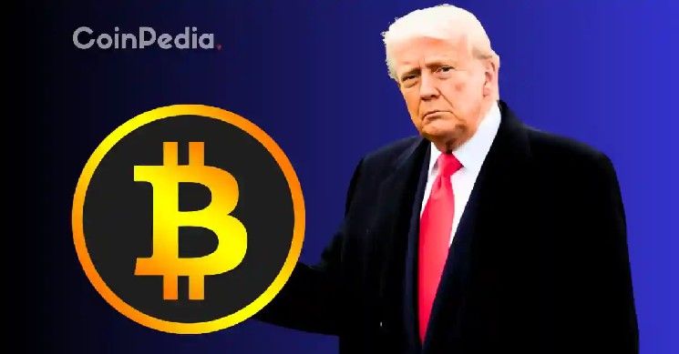 بعد خطاب ترامب اليوم: أسعار البيتكوين والإيثيريوم وXRP تهبط