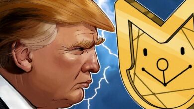عضو مجلس الشيوخ الأمريكي يدعو لحظر إصدار العملات الميمية من قبل المسؤولين المنتخبين