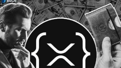 أفضل أربع محافظ للحفظ الذاتي لعملة XRP Ledger في 2026