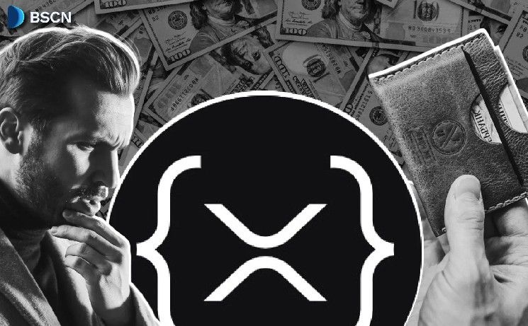 أفضل أربع محافظ للحفظ الذاتي لعملة XRP Ledger في 2026